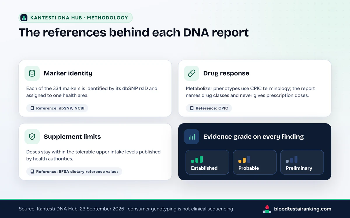 Four cards on DNA marker identity in dbSNP, CPIC drug-response terms, EFSA supplement limits and three evidence grades