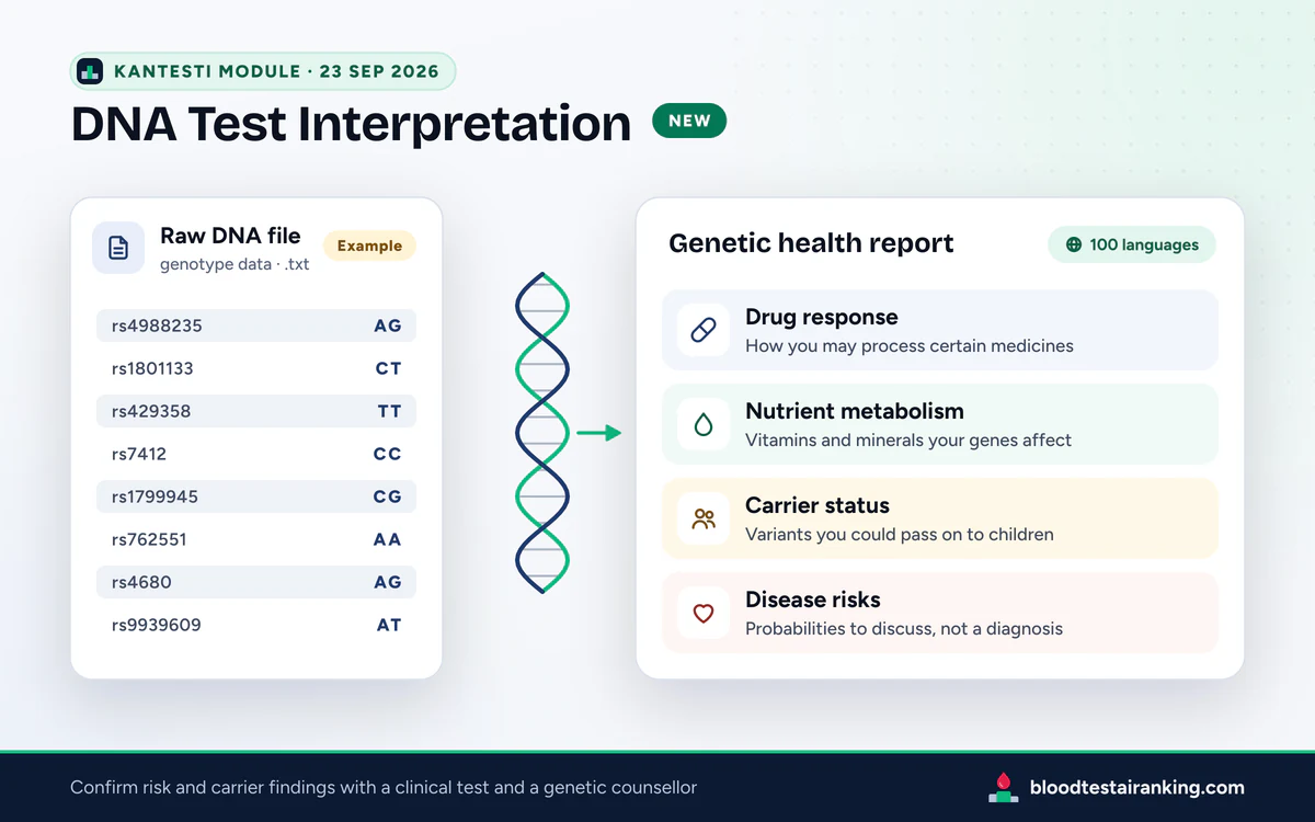 Raw DNA file card with example genotype rows, a double helix and a genetic report with four labelled sections
