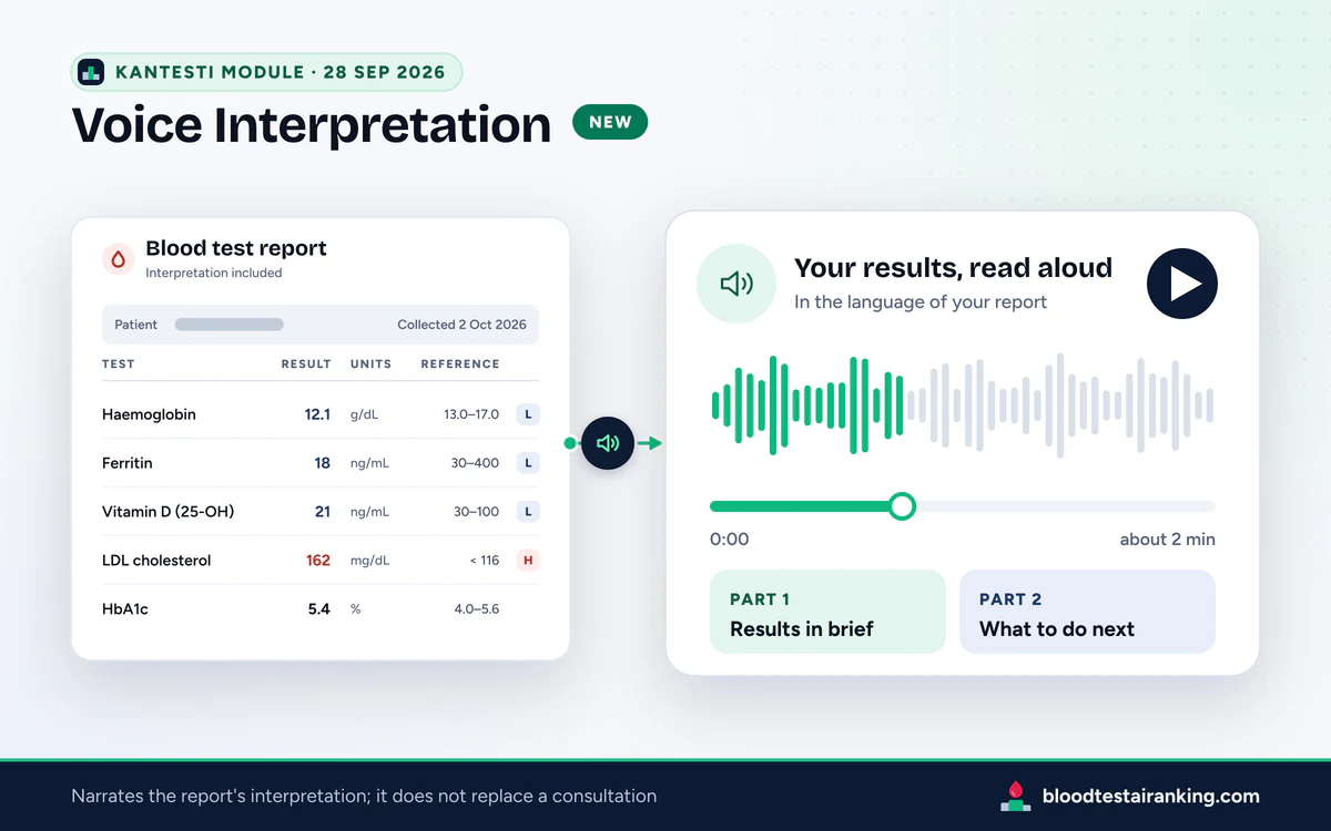 Voice Interpretation mock-up: sample report beside an audio player with a waveform and two parts, results then next steps